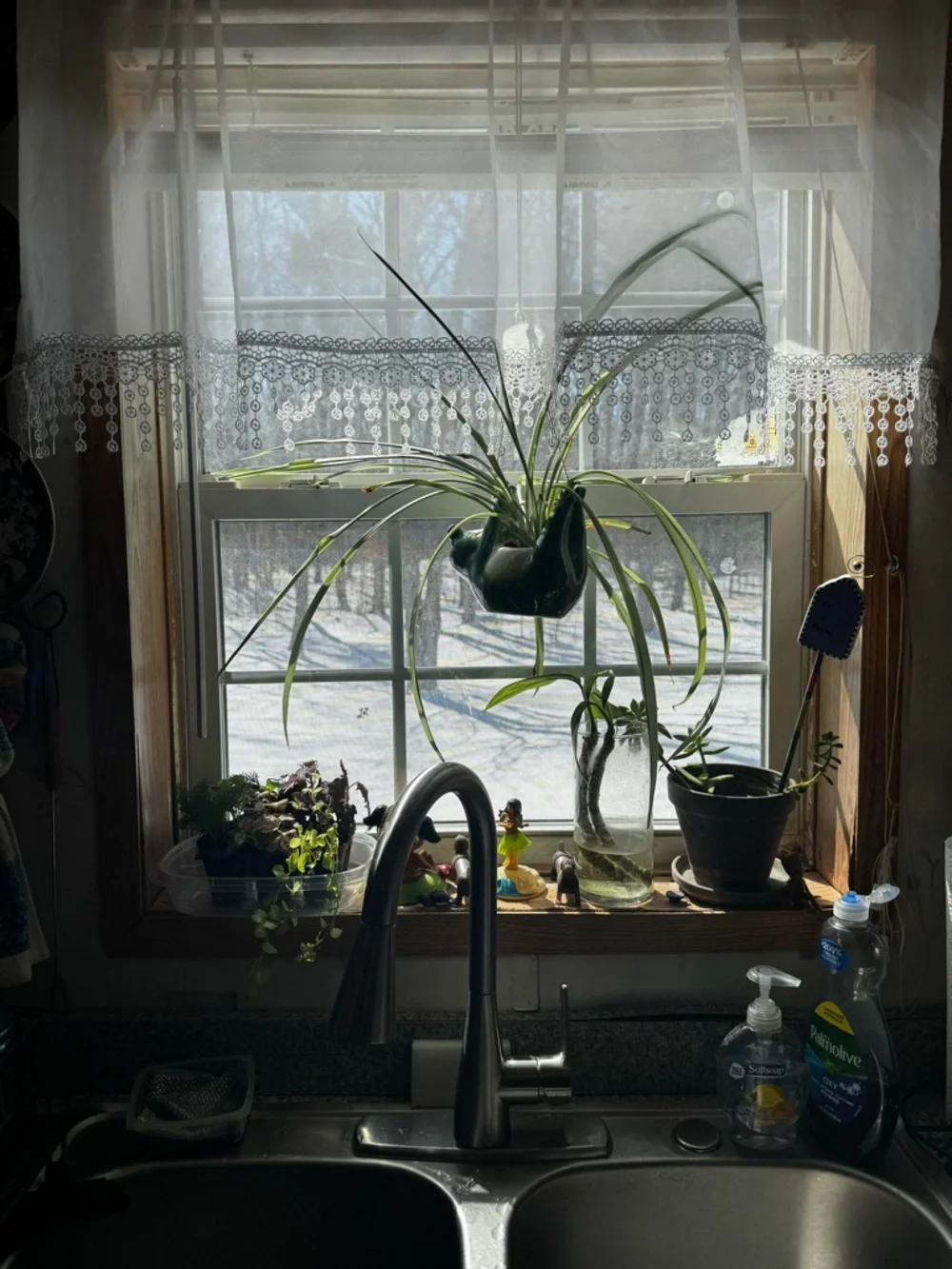 Curtains - Picture 3 of 3